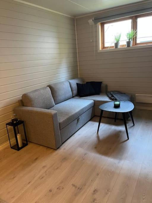 Down Town Appartement